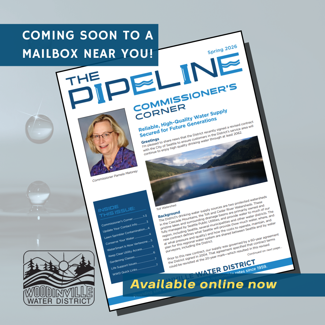Cover of Spring Pipeline with text saying "Coming soon to a mailbox near you!"